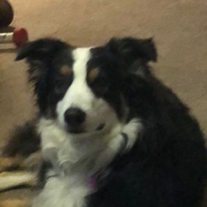 Meet your Posher, Mike